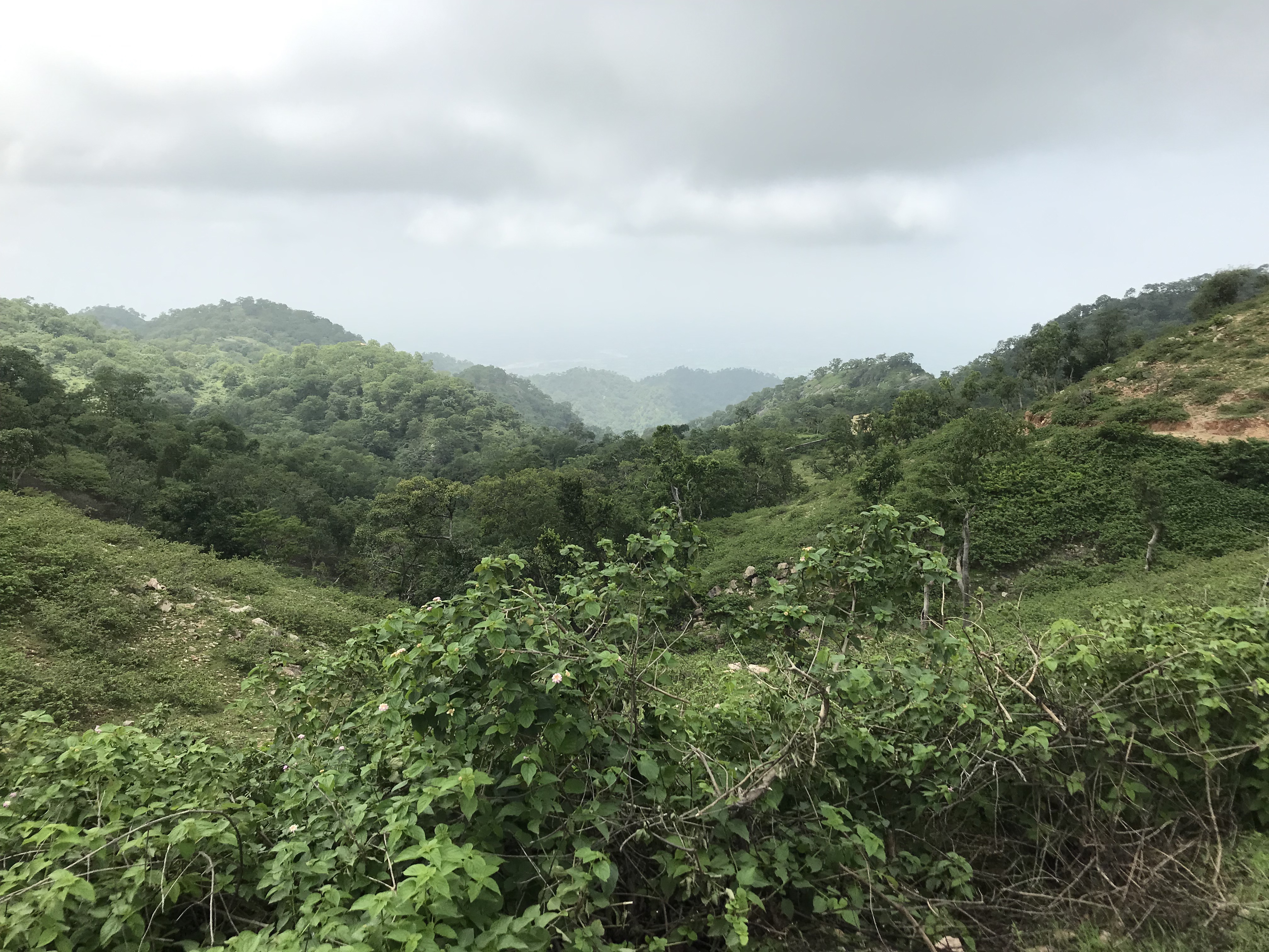 aravali.jpg