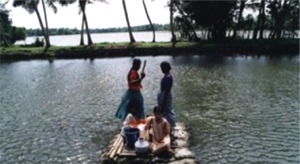 Backwaters of Kuttanad